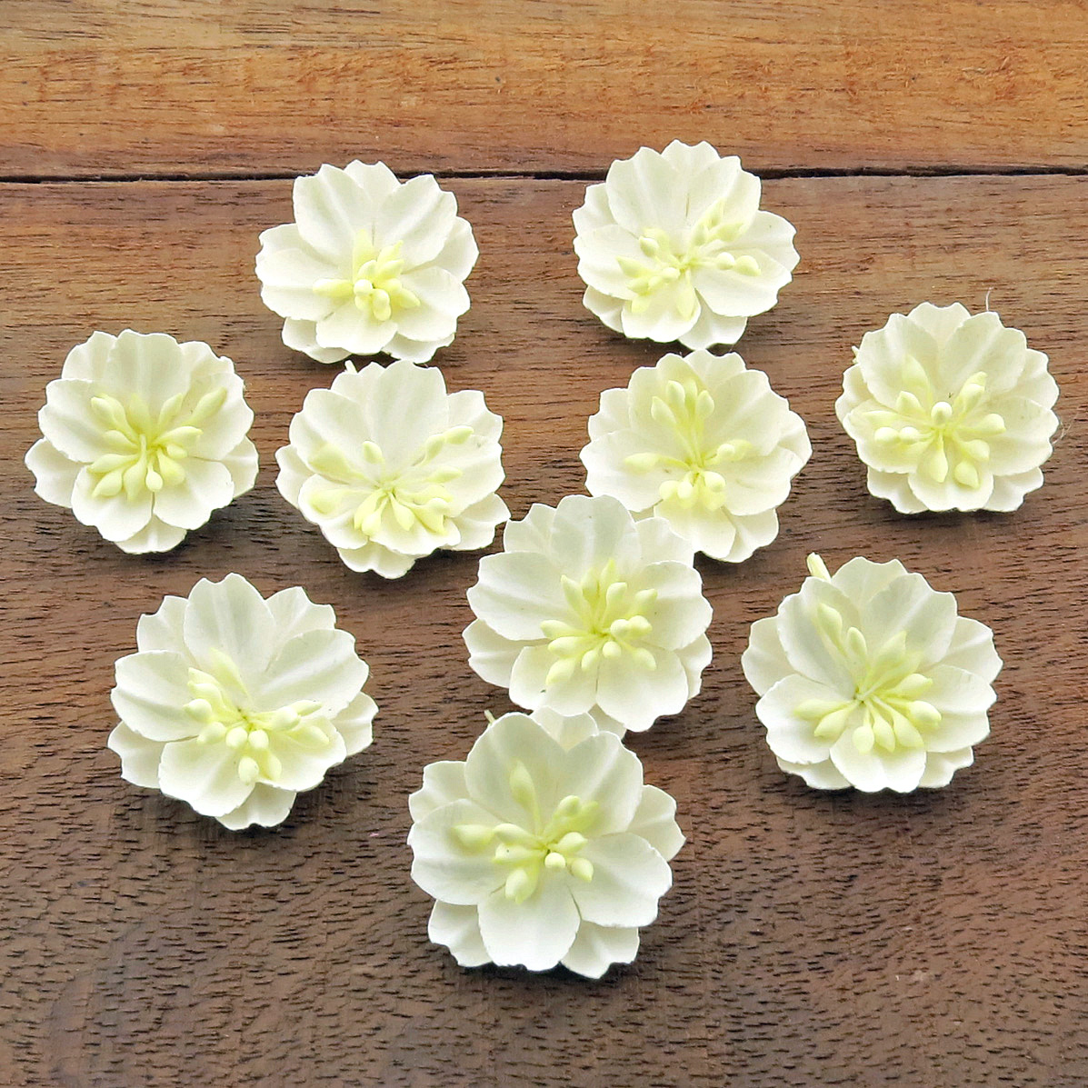 50 WHITE MULBERRY PAPER BUTTERCUPS